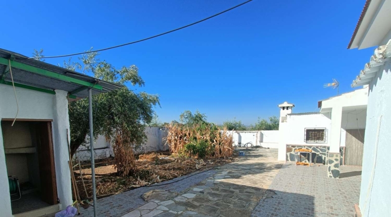 Granada - Loja - 3000m2