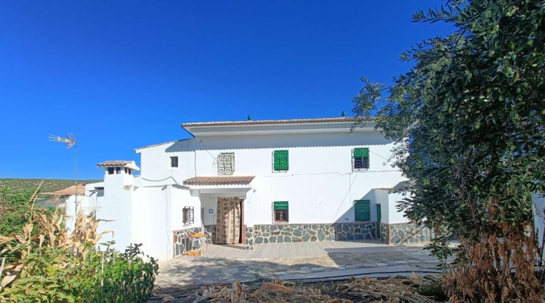 Granada - Loja - 3000m2