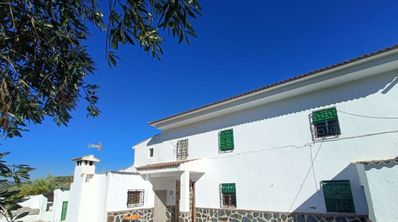 Granada - Loja - 3000m2