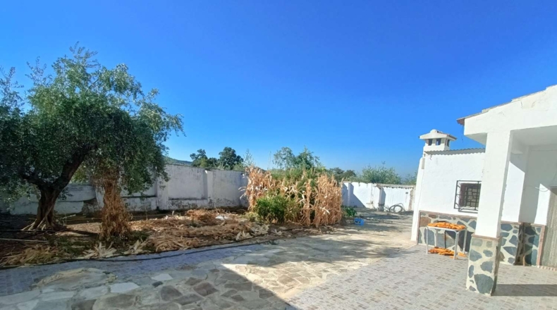 Granada - Loja - 3000m2