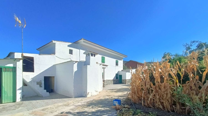 Granada - Loja - 3000m2