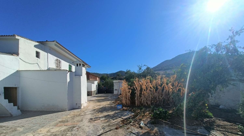 Granada - Loja - 3000m2