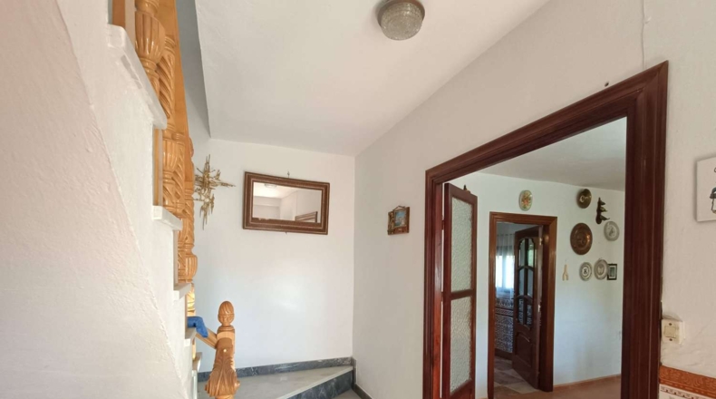 Granada - Loja - 3000m2
