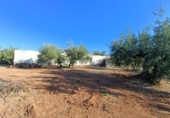 Casa de pueblo en venta en la Carretera Algarinejo, Loja, ref: TR344541 foto