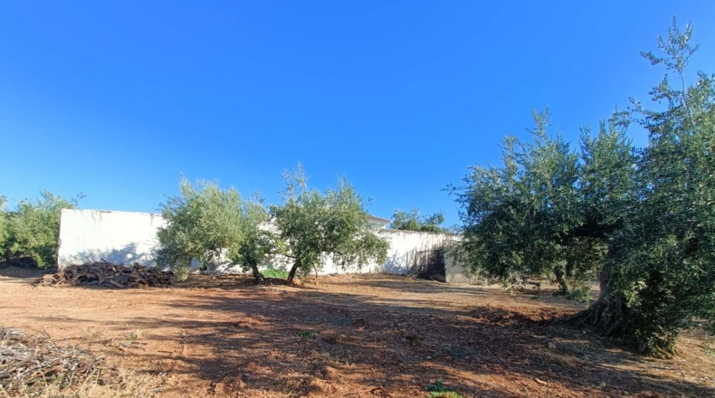 Granada - Loja - 3000m2