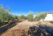 Casa de pueblo en venta en la Carretera Algarinejo, Loja, ref: TR344541 foto
