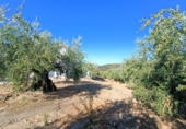 Casa de pueblo en venta en la Carretera Algarinejo, Loja, ref: TR344541 foto