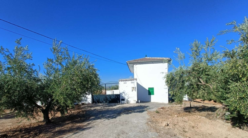 Granada - Loja - 3000m2