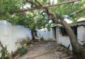 Casa de poble en venda a Íllora ref.: TR355921 foto