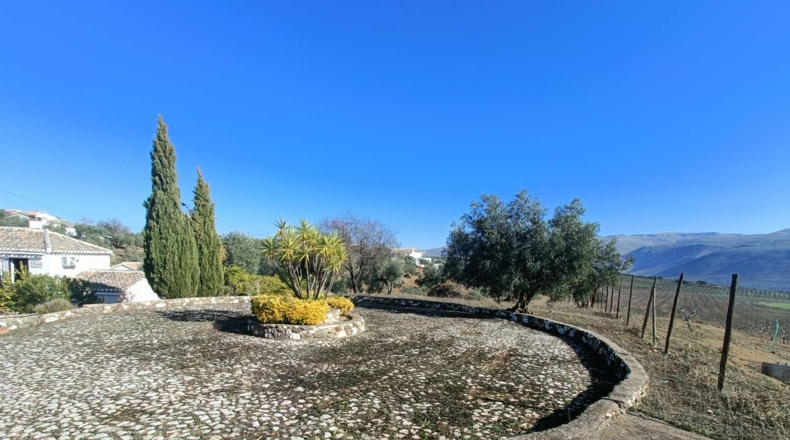 Granada - Loja - 3000m2