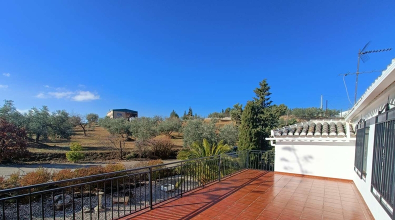 Granada - Loja - 3000m2