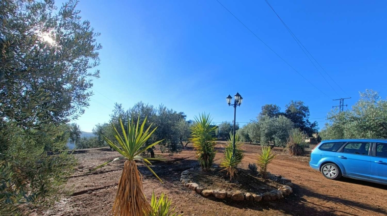 Granada - Иллора - 9500m2