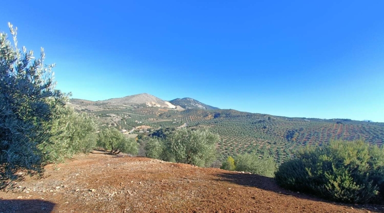 Granada - Иллора - 9500m2