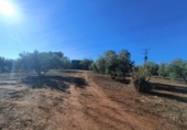 Casa de poble en venda a la Carretera Puerto Lope, Íllora, ref.: TR370381 foto