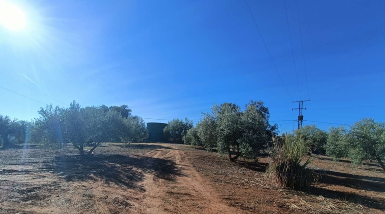 Granada - Иллора - 9500m2