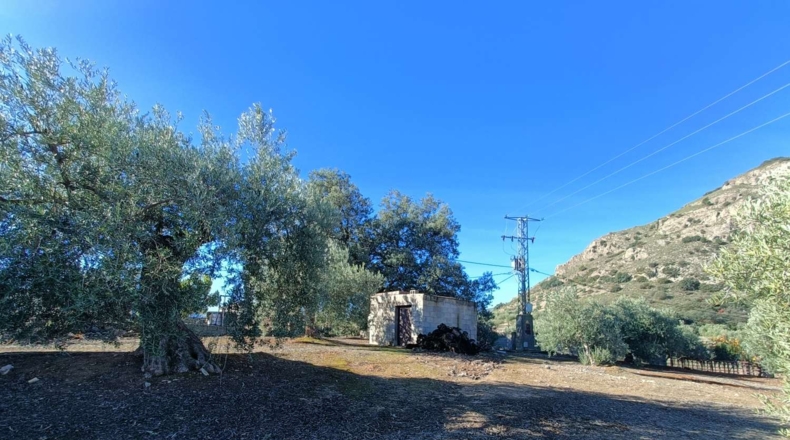 Granada - Иллора - 9500m2