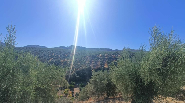 Granada - Zagra - 1560m2