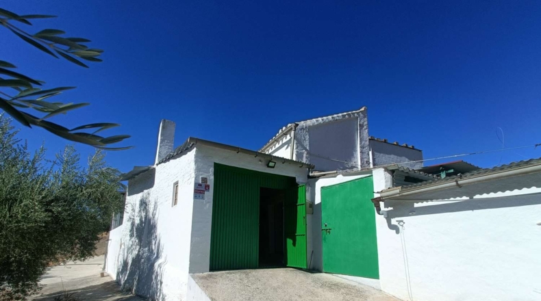 Granada - Zagra - 1560m2