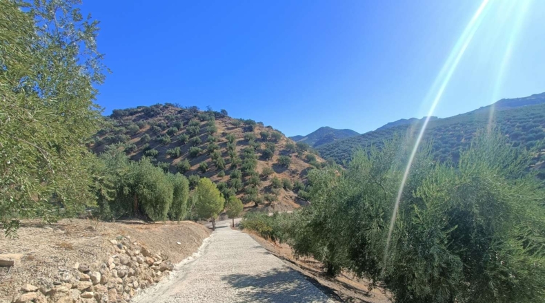 Granada - Zagra - 1560m2