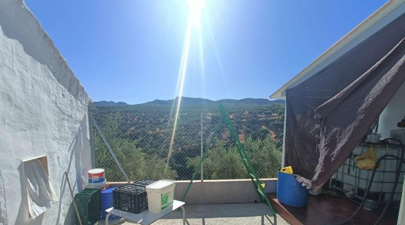 Granada - Zagra - 1560m2