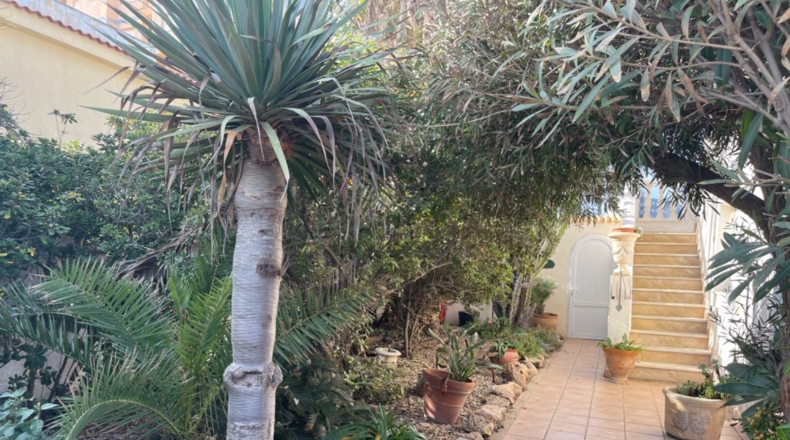 Murcia - San Javier - 600m2