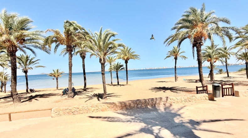 Murcia - Cartagena - 207m2