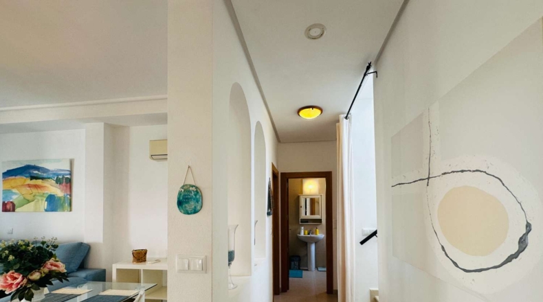 Murcia - Torre-Pacheco - 400m2