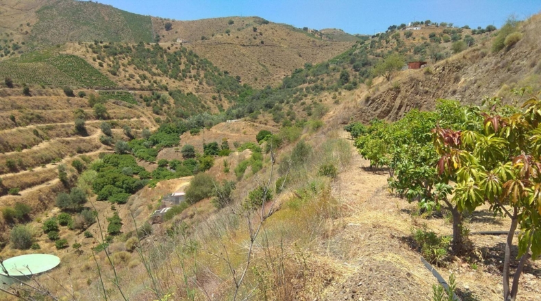 Málaga - Almáchar - 20000m2