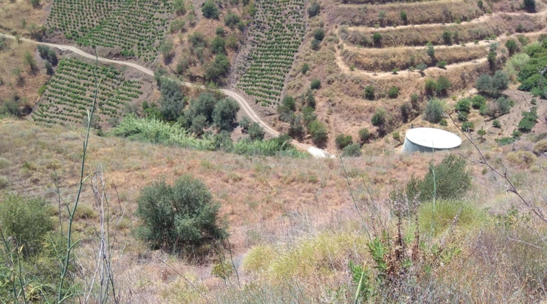 Málaga - Almáchar - 20000m2