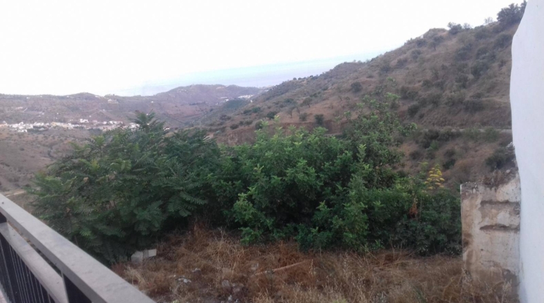 Málaga - Moclinejo - 1500m2
