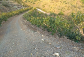 Foto 16