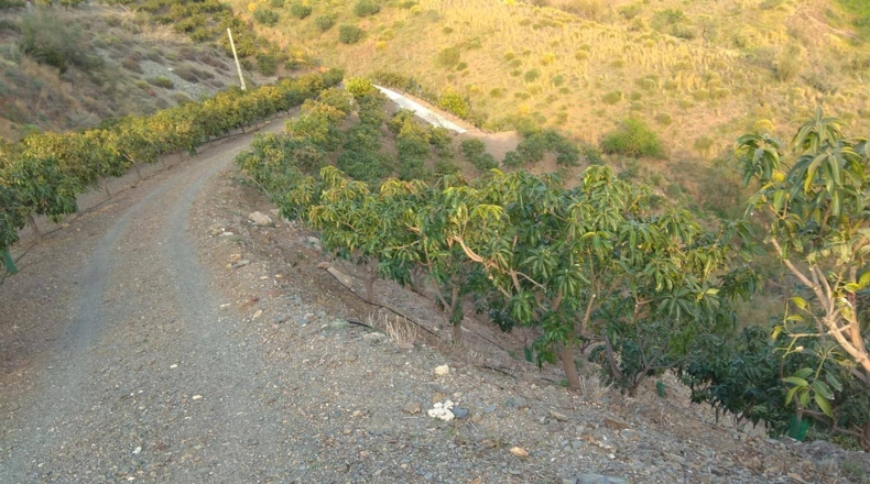 Málaga - Moclinejo - 13000m2