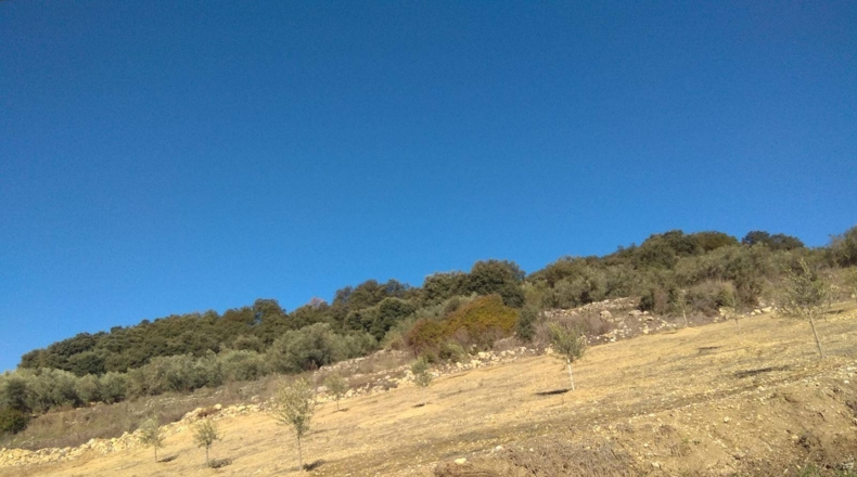 Málaga - Alfarnate - 33000m2