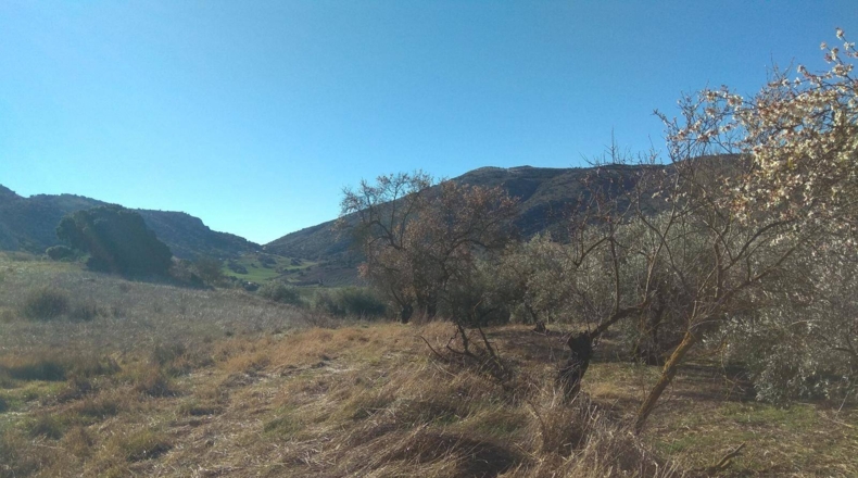 Málaga - Alfarnate - 33000m2