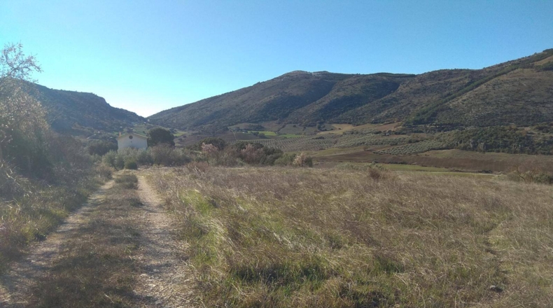 Málaga - Alfarnate - 33000m2