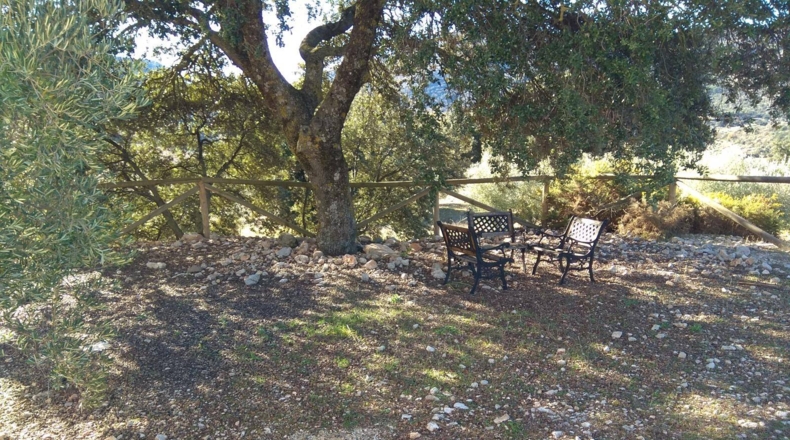 Málaga - Alfarnate - 33000m2