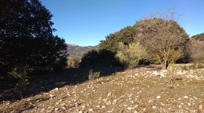 Málaga - Alfarnate - 33000m2