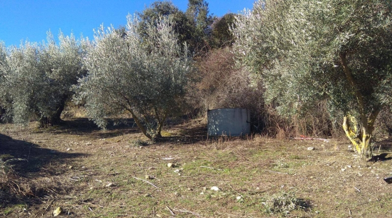 Málaga - Alfarnate - 33000m2