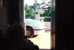 Foto 8