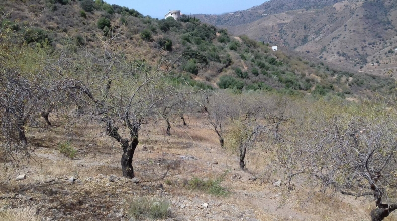 Málaga - Málaga - 27000m2