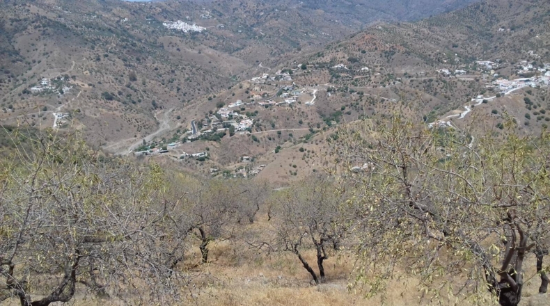 Málaga - Málaga - 27000m2