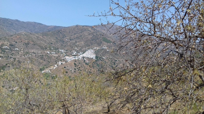 Málaga - Málaga - 27000m2