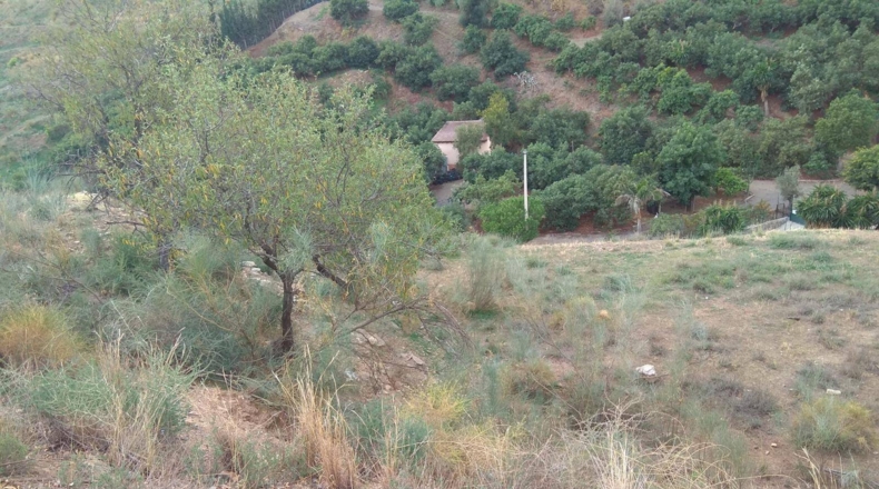 Málaga - Las Casillas - 170000m2