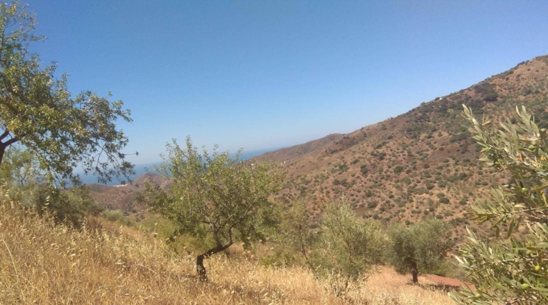 Málaga - Totalán - 18000m2