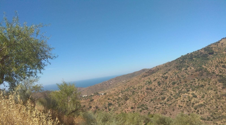 Málaga - Totalán - 18000m2