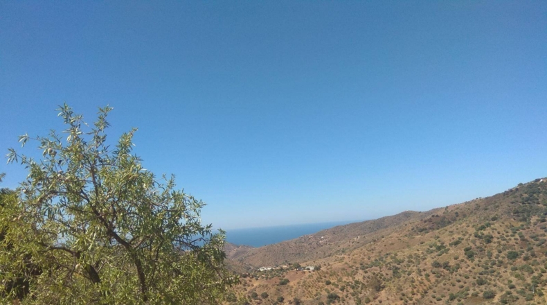 Málaga - Totalán - 18000m2