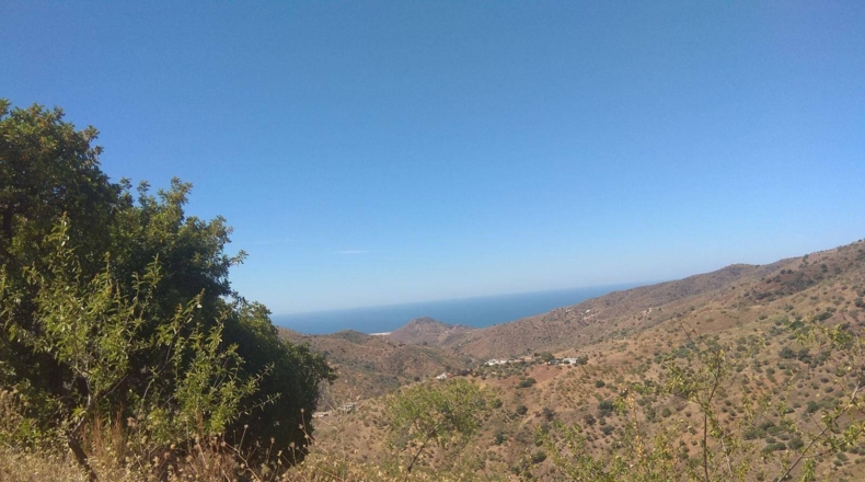 Málaga - Totalán - 18000m2
