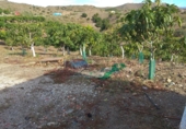 Finca rústica en venda a Vélez-Málaga ref.: TR231851 foto