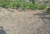 Finca rústica en venda a Vélez-Málaga ref.: TR231851 foto