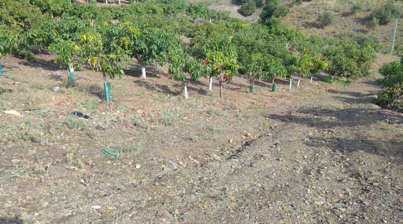Malaga - Велес-Малага - 29000m2